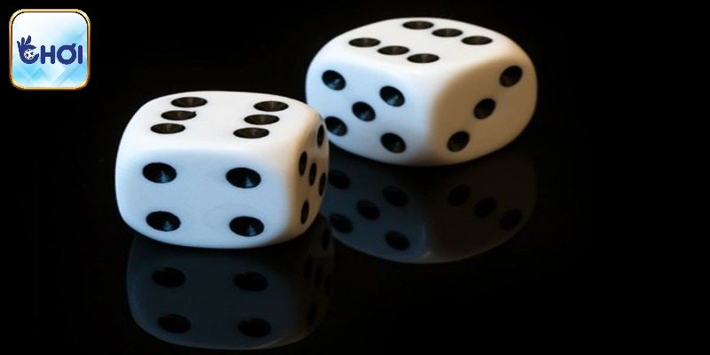 Bật mí thuật ngữ hay gặp trong sàn tài xỉu