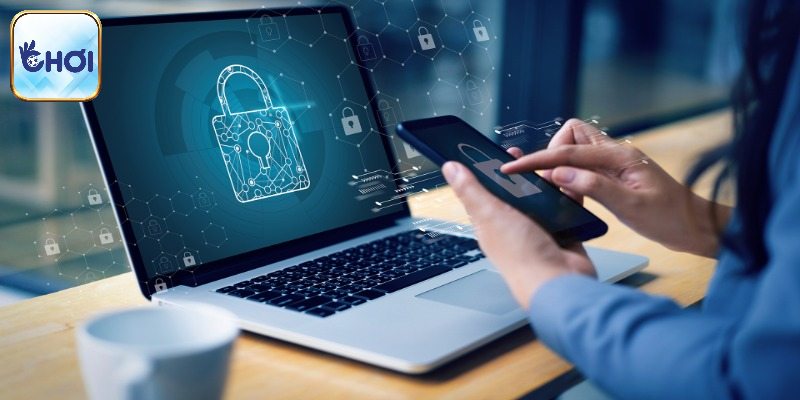 Các dữ liệu được nhà cái thu thập