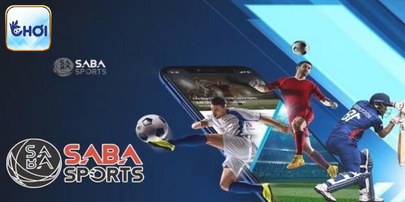 Điểm qua các bộ môn thể thao hàng đầu 