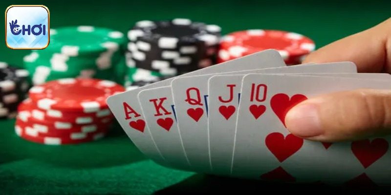 Lưu ý cần tránh khi so bài tại OKCHOI