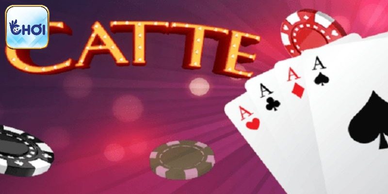 Lưu ý cần tránh khi trải nghiệm catte tại OKCHOI