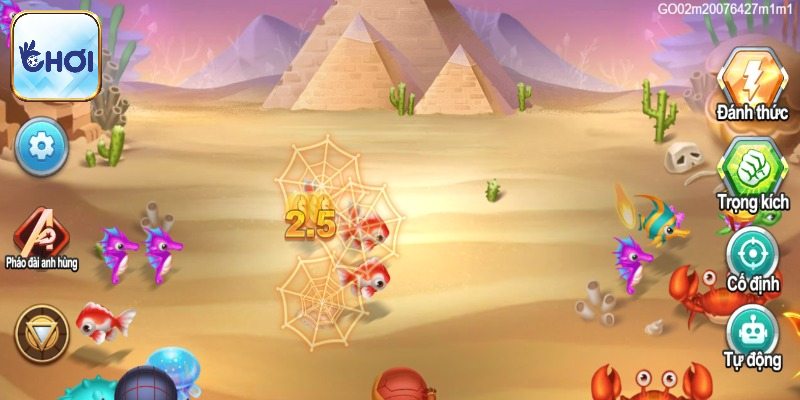 Phòng trung cấp phù hợp đa số tay cược